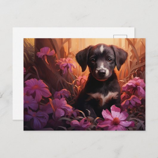 Postkaart Gentle Furball (Voorkant / Achterkant)