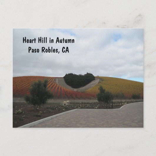 Postkaart: Heart Hill in de herfst, Paso Robles Briefkaart (Voorkant)