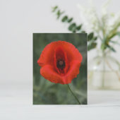 Postkaart Klaproos Fotografie (Staand voorkant)