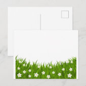Postkaart madeliefje en gras (Voorkant / Achterkant)