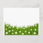 Postkaart madeliefje en gras (Voorkant)