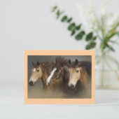 Postkaart met paarden (Staand voorkant)