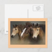 Postkaart met paarden (Voorkant / Achterkant)