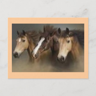 Postkaart met paarden