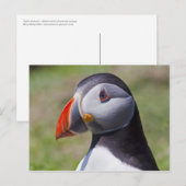 Postkaart met papegaaiduikersportret (Voorkant / Achterkant)
