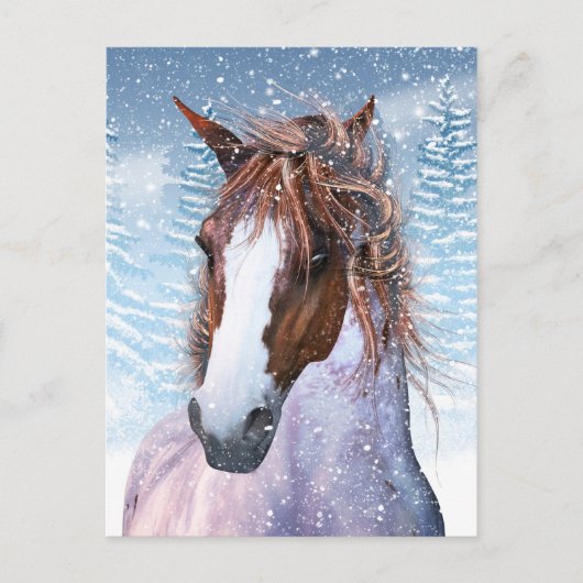 Postkaart met winterpaard in sneeuw (Voorkant)