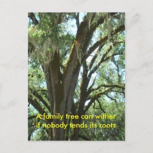 Postkaart - Nieuw familielid