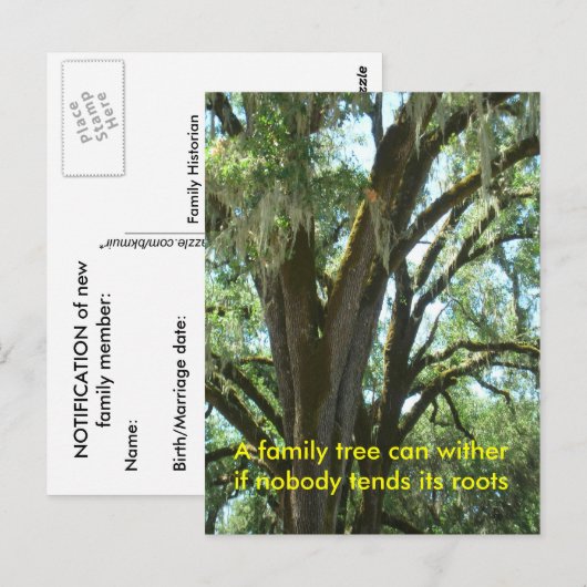 Postkaart - Nieuw familielid (Voorkant / Achterkant)