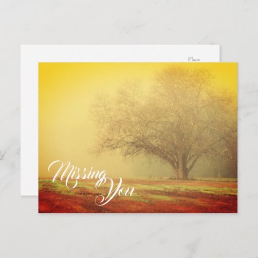 Postkaart Ontbrekende Landschap (Voorkant / Achterkant)