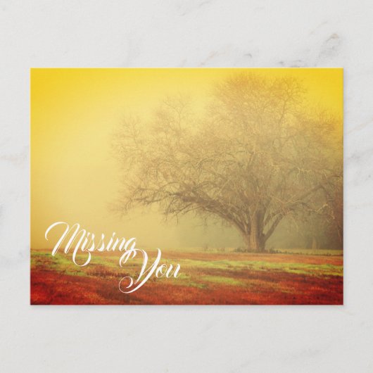 Postkaart Ontbrekende Landschap (Voorkant)