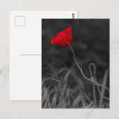 Postkaart Rode Klaproos Bloem (Voorkant / Achterkant)