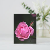 Postkaart Roos - Fotografische bloemen (Staand voorkant)