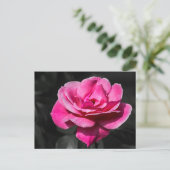 Postkaart Roze Roos Elegantie (Staand voorkant)