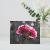 Postkaart Roze Roos Elegantie (Staand voorkant)