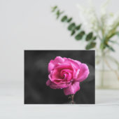Postkaart Roze Roos Fotografie (Staand voorkant)
