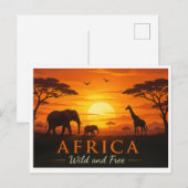 Postkaart safari feestdagenkaart (Voorkant / Achterkant)