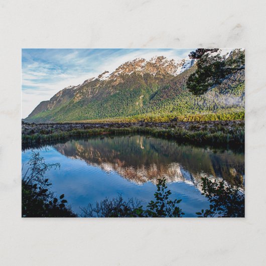 Postkaart uit Nieuw-Zeeland (Voorkant)