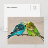 Postkaart van Verliefde Parkieten (Voorkant / Achterkant)