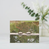 Postkaart van vijver schildpad (Staand voorkant)