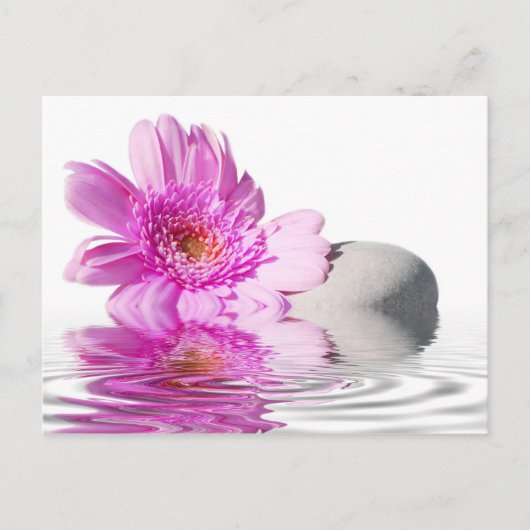 Postkaart van Zénitude (Voorkant)