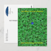 Postkaart - Veel geluk (Voorkant / Achterkant)