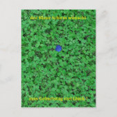 Postkaart - Veel succes (Voorkant)