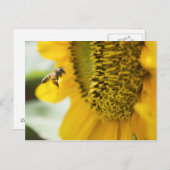 Postkaart voor bijen en zonnebloemen (Voorkant / Achterkant)