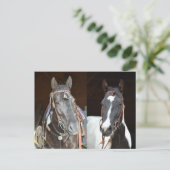 postkaart voor paarden (Staand voorkant)