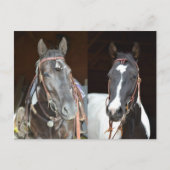 postkaart voor paarden (Voorkant)
