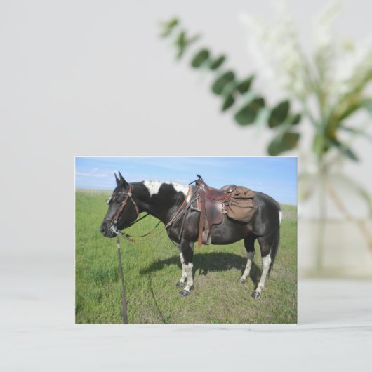 postkaart voor paarden (Staand voorkant)