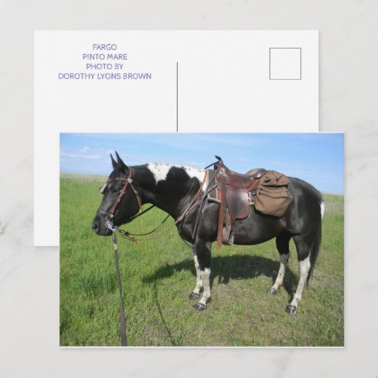 postkaart voor paarden (Voorkant / Achterkant)