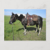 postkaart voor paarden (Voorkant)