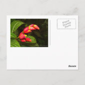 Postkaart voor reizen 2 (Achterkant)