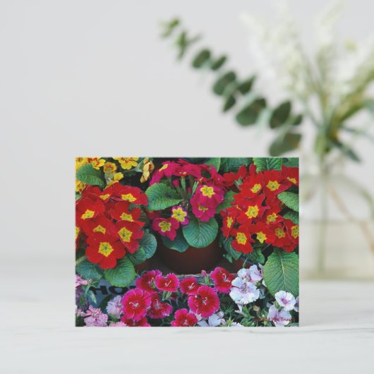 Postkaart voor reizen 4 (Staand voorkant)