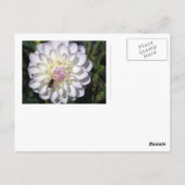 Postkaart voor reizen 4 (Achterkant)