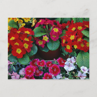 Postkaart voor reizen 4