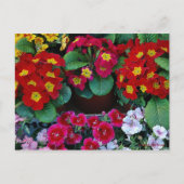 Postkaart voor reizen 4 (Voorkant)