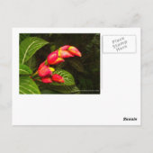 Postkaart voor reizen 5 (Achterkant)