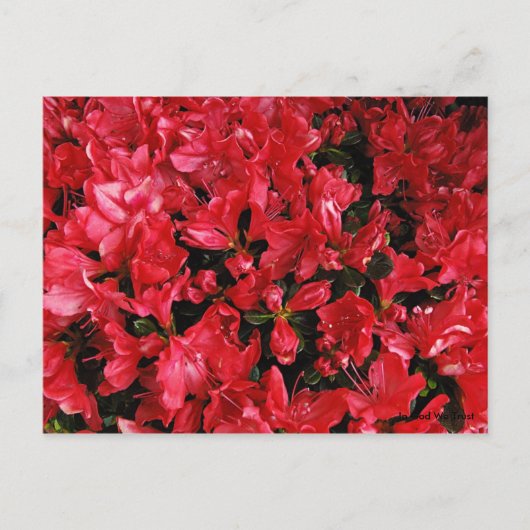 Postkaart voor reizen 5 (Voorkant)