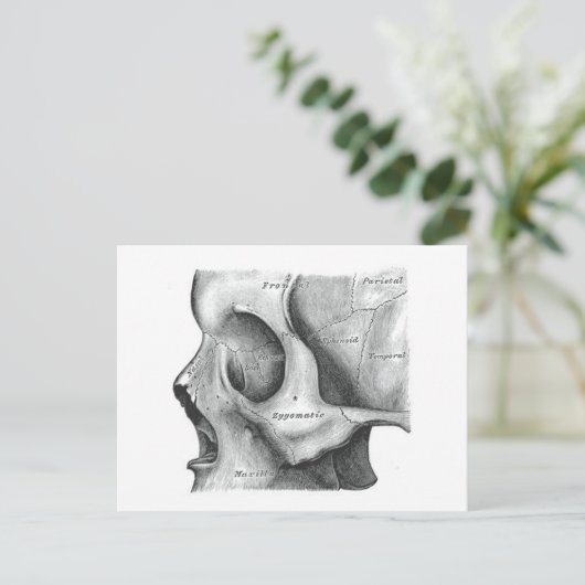 Postkaart voor schedel en wervelkolom (Staand voorkant)