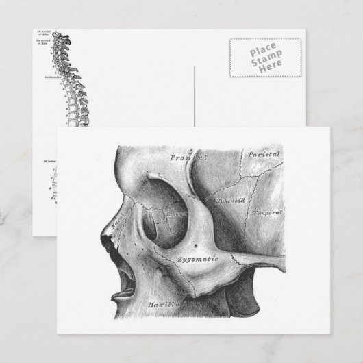 Postkaart voor schedel en wervelkolom (Voorkant / Achterkant)