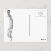 Postkaart voor schedel en wervelkolom (Achterkant)