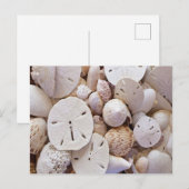 Postkaart voor schotel- en schelpdierschelpdieren  (Voorkant / Achterkant)