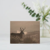 Postkaart voor tags (Staand voorkant)
