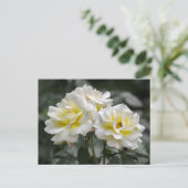 Postkaart Wit Roos Fotografie (Staand voorkant)