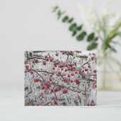 Postkaarten (Staand voorkant)