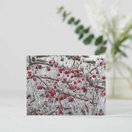 Postkaarten (Staand voorkant)