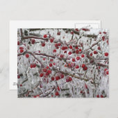 Postkaarten (Voorkant / Achterkant)