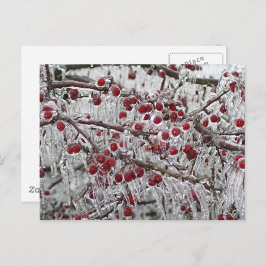 Postkaarten (Voorkant / Achterkant)