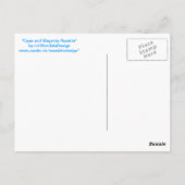 Postkarte 05 "Cyaan en Magenta Rosette" Briefkaart (Achterkant)